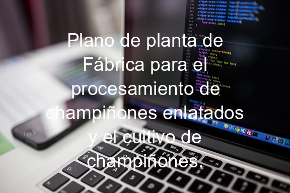 Plano de planta de Fábrica para el procesamiento de champiñones enlatados y el cultivo de champiñones.