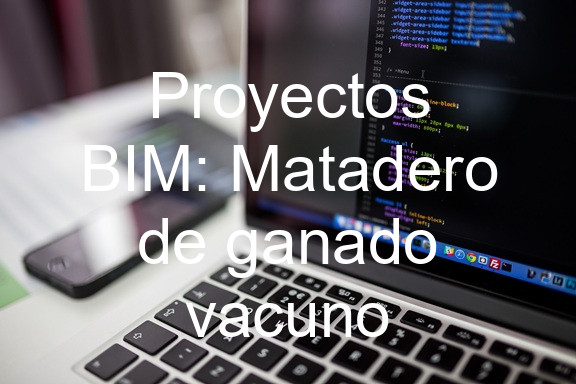 Proyectos BIM: Matadero de ganado vacuno