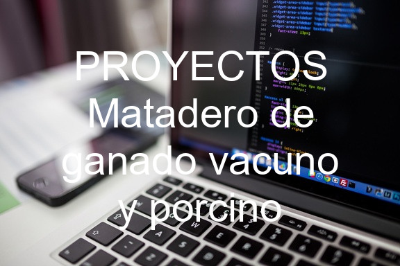 PROYECTOS Matadero de ganado vacuno y porcino