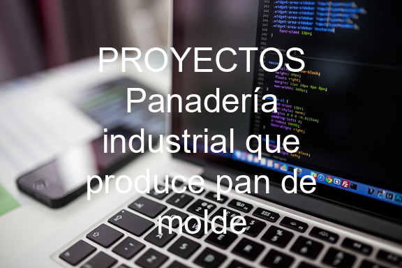 PROYECTOS Panadería industrial que produce pan de molde